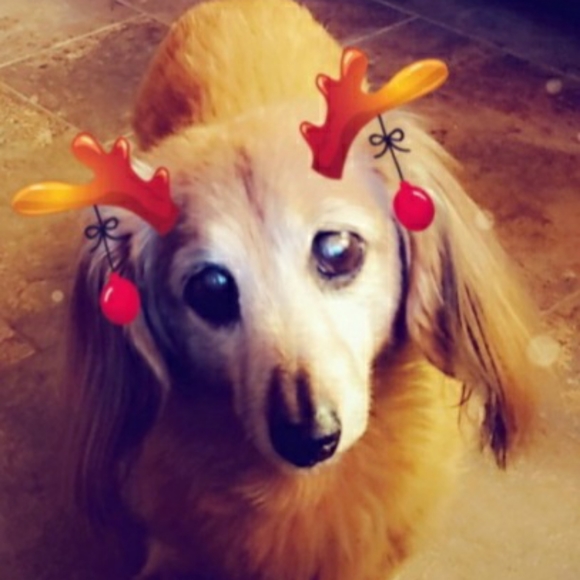 Meet your Posher, Debra - Picture 4 of 12